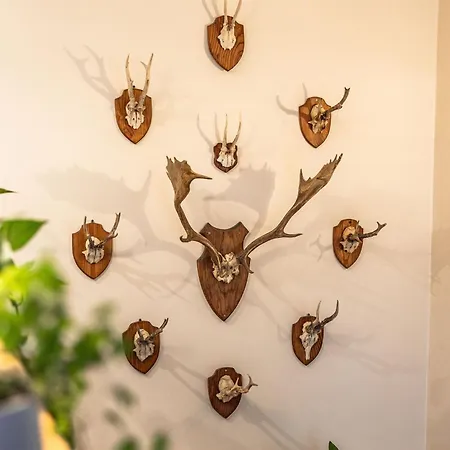 Domek alpejski Pod Strzechą